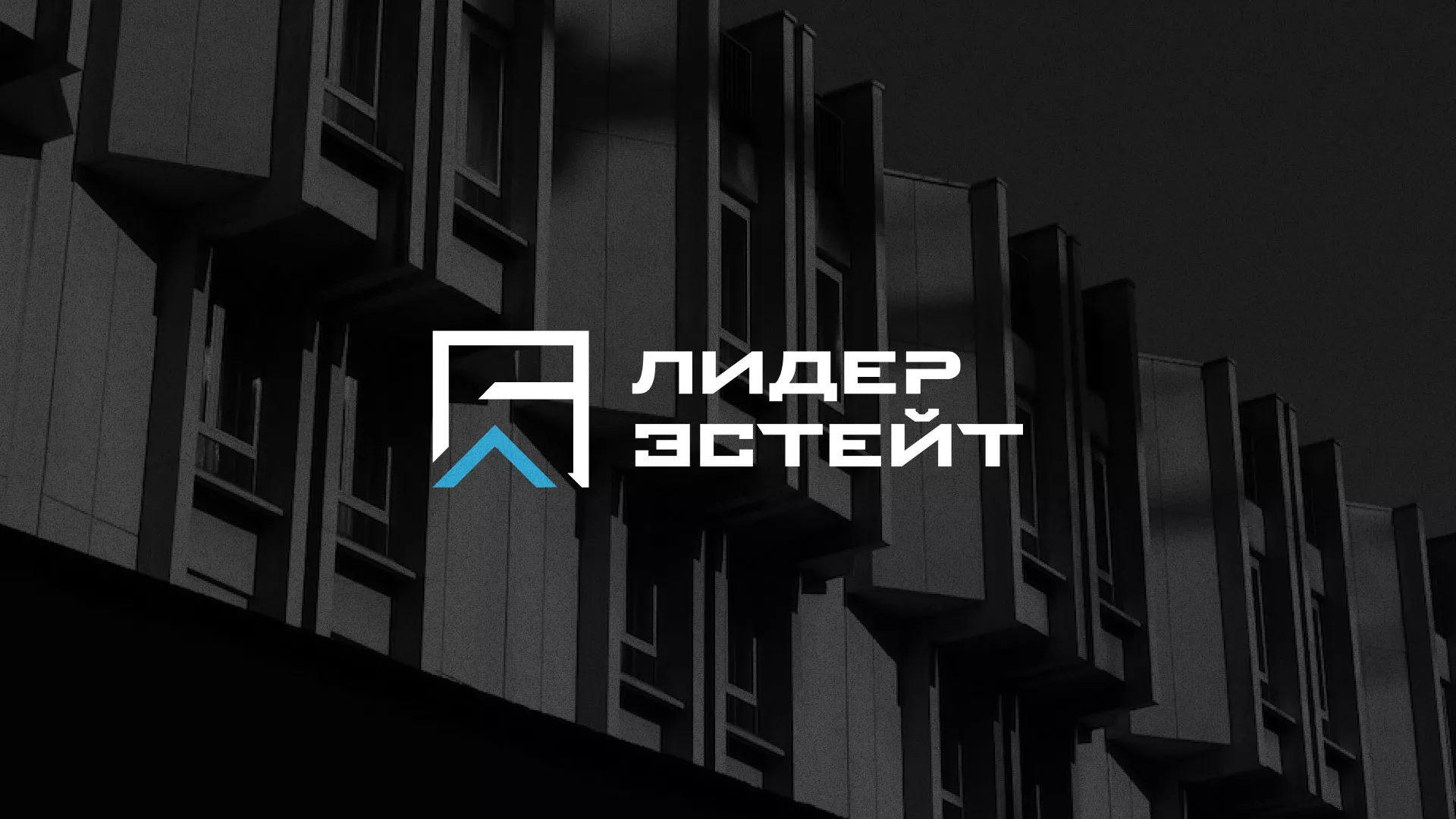 Разработка логотипа агентства недвижимости «Лидер Эстейт» в Невинномысске